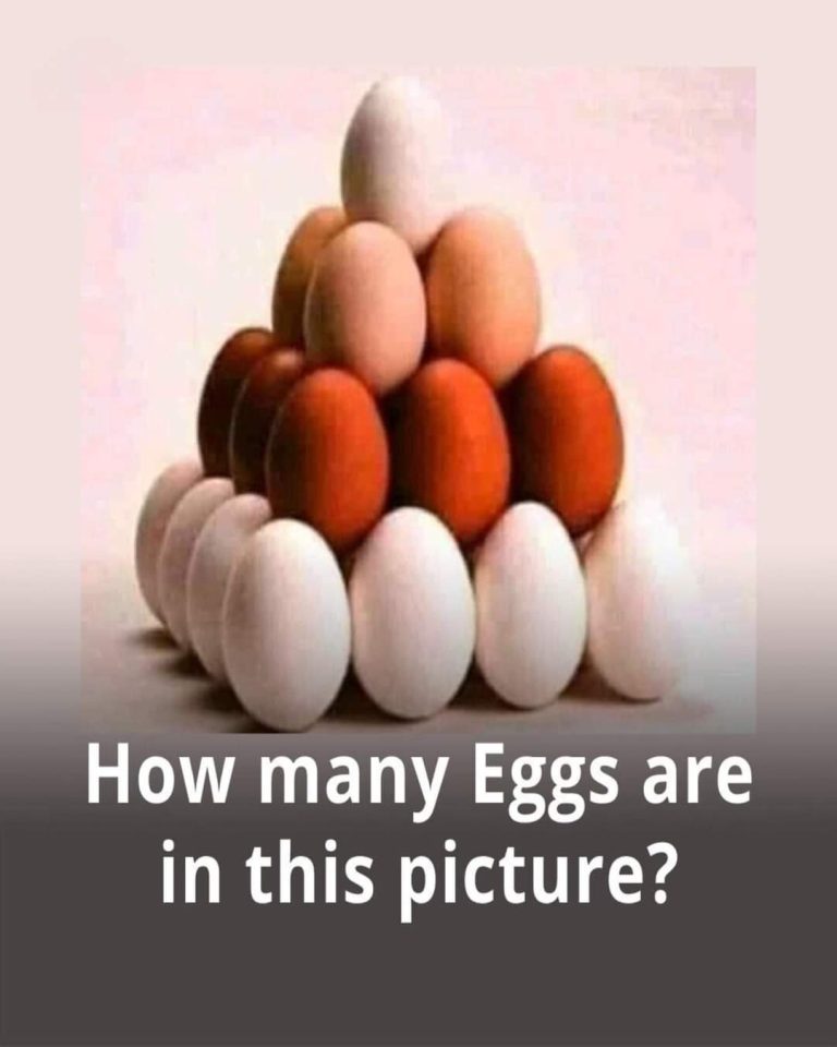 How Many Eggs Can You See?