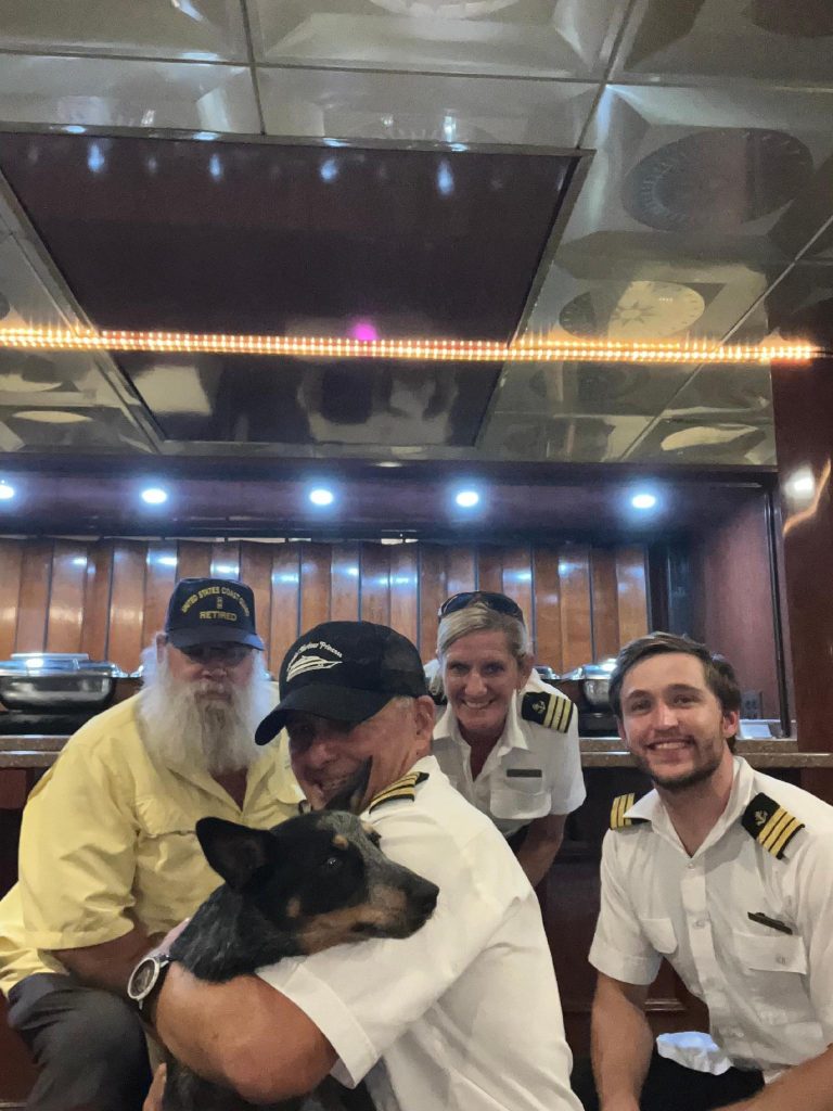 Dog spotted in water during dinner cruise: yacht crew jumps into action to save her life