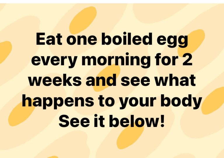 Eat one boiled egg every morning for 2 weeks and see what happens to your body