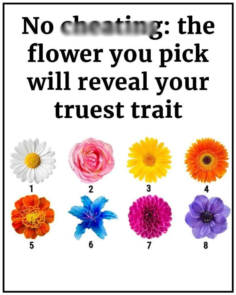 No Ch3ating. The Flower You Pick Will Reveal Your Truest Trait