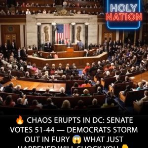 CHAOS IN DC: Senate Votes 51-44 — Democrats STORM OUT