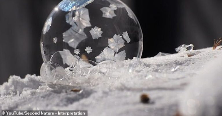 FILMI – “Drita e Fluskës”