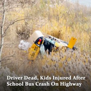 A school bus carrying 42 children crashed off Highway 401 in…See more