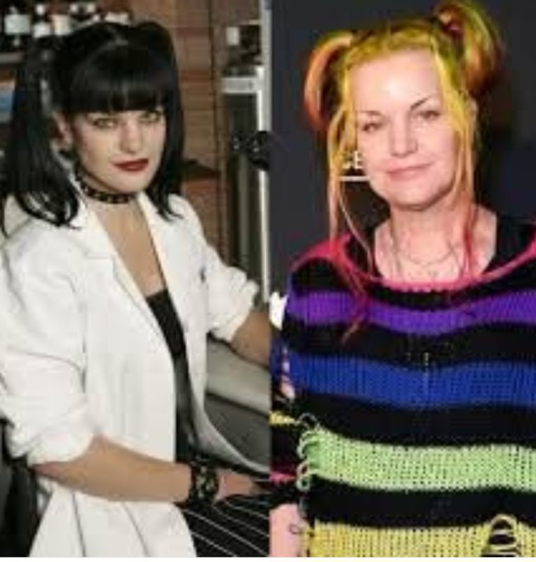 The Real Reason Pauley Perrette Left NCIS: A Deeper Look