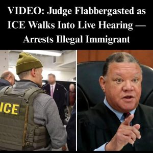 Judge Holds ICE Agent In Contempt For Detaining Illegal Migrant During Trial