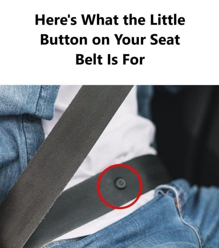 The Small Button on Your Seat Belt Explained