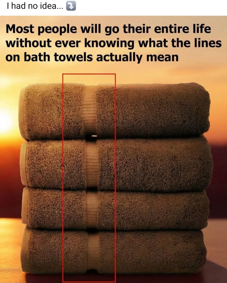 Why Bath Towels Are Essential in Every Home