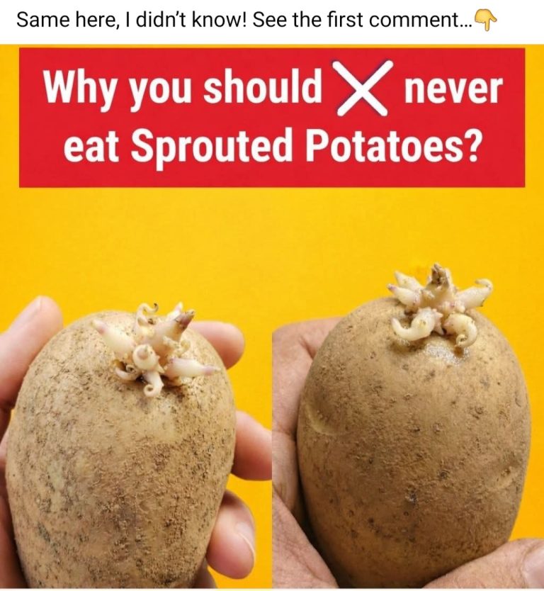 Sprouted Potatoes: What You Need to Know Before Cooking