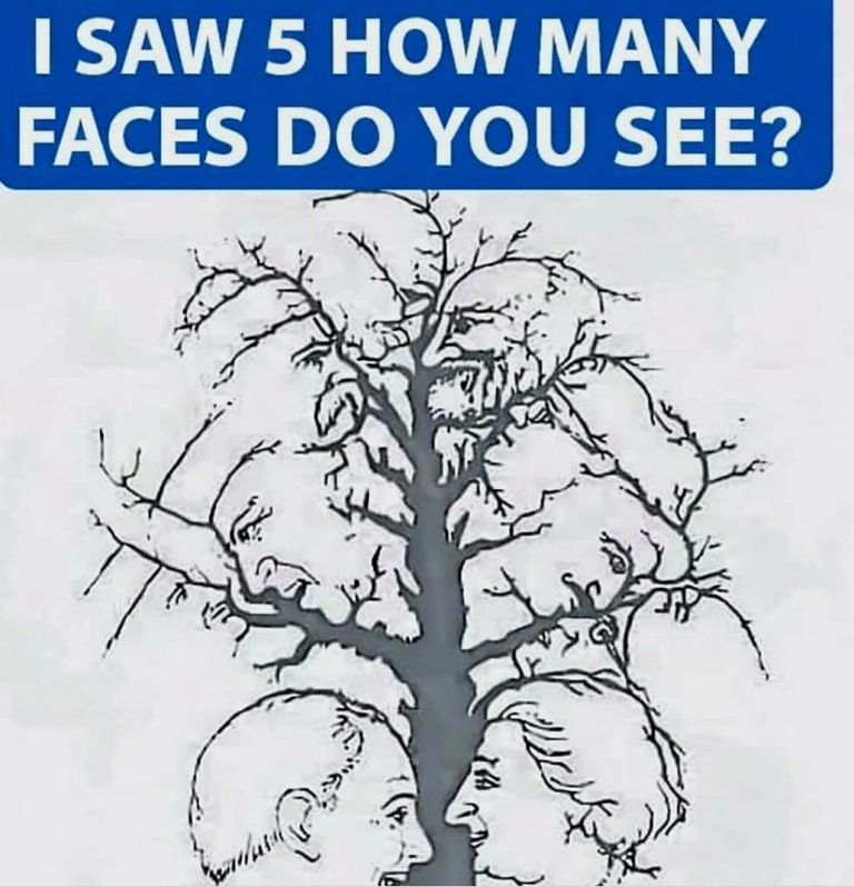 Look Closely: Very Few People Can Find All the Faces Hidden in This Tree