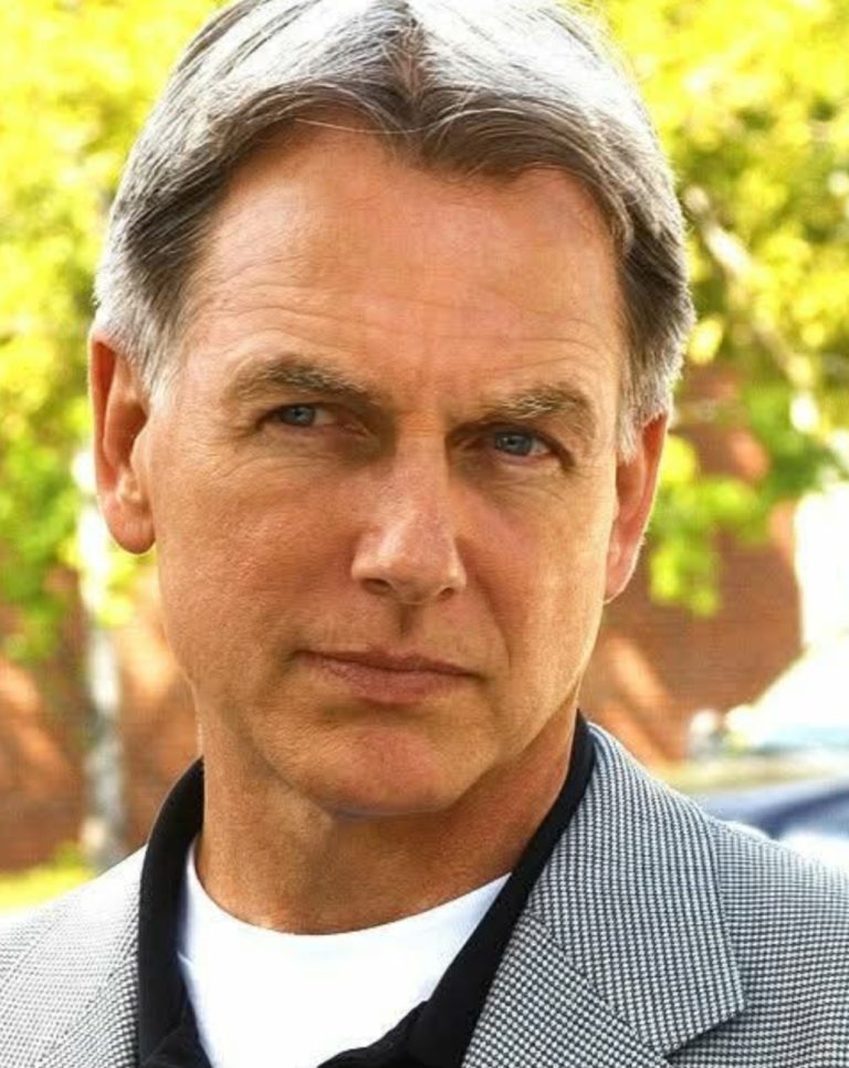 🕯️ NCIS Season 23 Honors Jimmy Palmer — The Heartfelt Tribute Fans Can’t Stop Talking About (Full information 👇 💬)