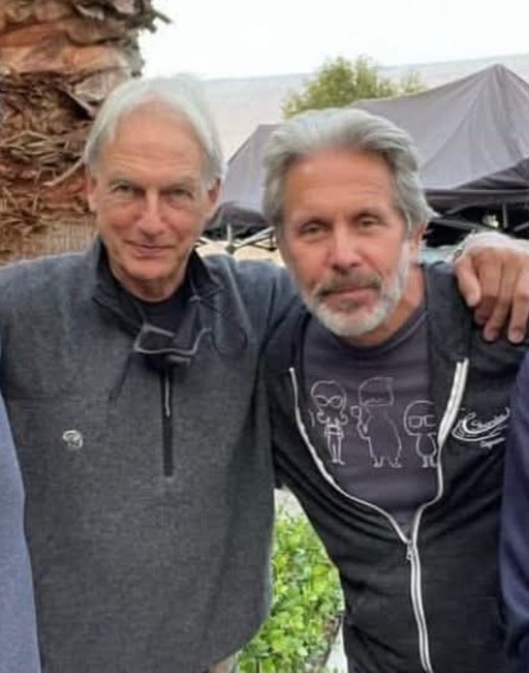 NCIS Boss Breaks Down That Shocking Return In Fall Finale: ‘We’d Been Talking About The Idea For A Year’ — Plus, Grade It! (Full information 👇 💬)