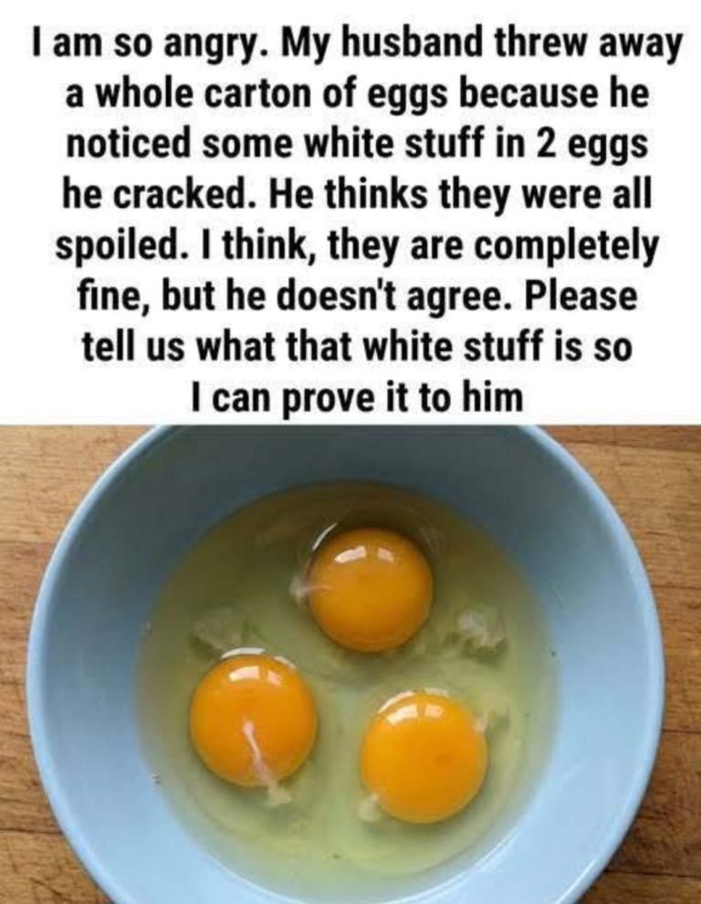 What Exactly Is the White Part of an Egg, Why It Looks Strange, What It Does for Freshness, Safety, Nutrition, and How This Tiny Detail Reveals the Hidden Science of Eggs