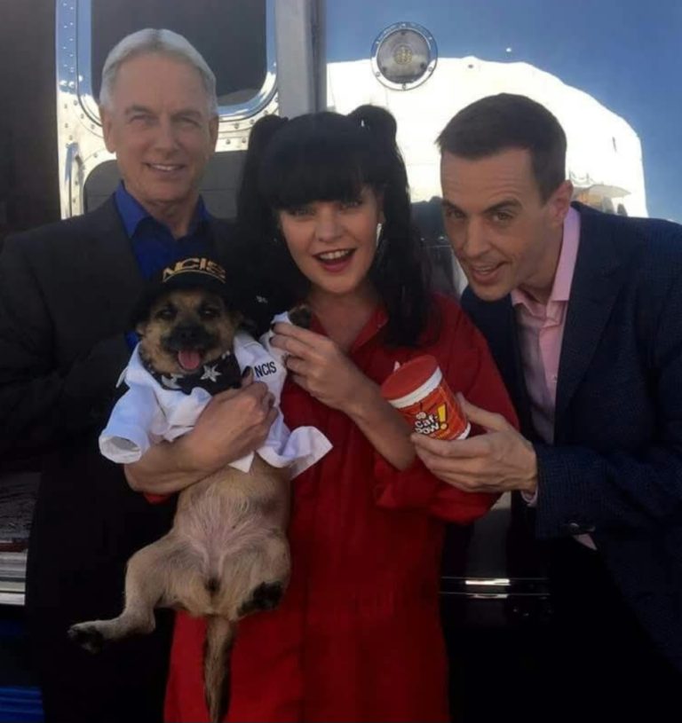 🚨 CBS Finally Drops the NCIS News Fans Have Been Waiting For!