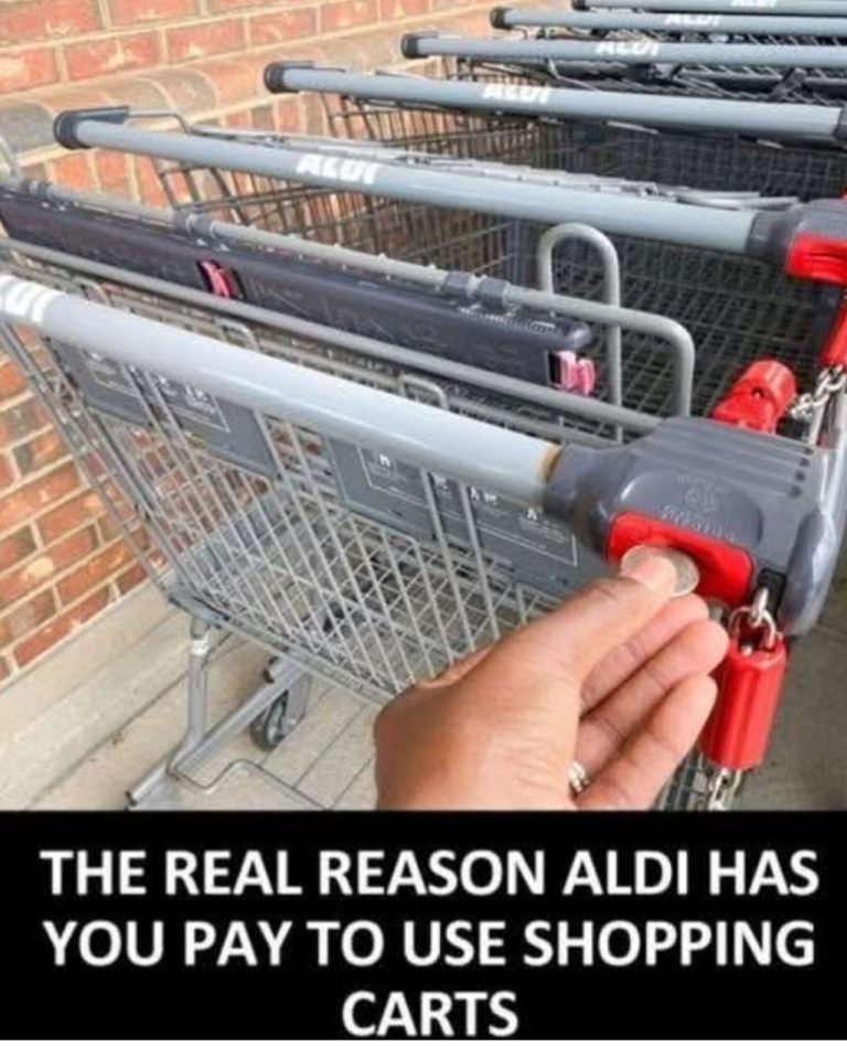 How the Shopping Cart Deposit Policy Works in Retail Stores