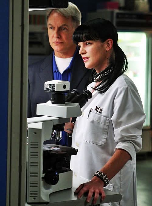NCIS Forced to Separate Mark Harmon & Pauley Perrette On Set After Heated Feud 😱👇 Check the Comment 👇
