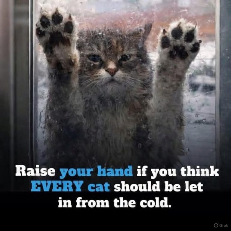 💔 Left Alone for Weeks… Until Someone Finally Noticed