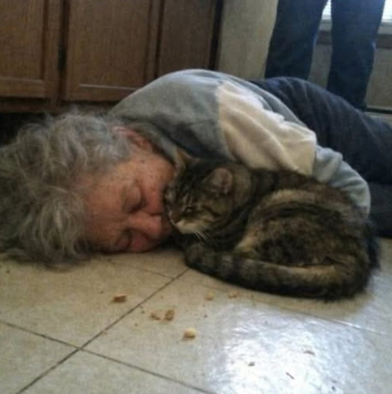 💔 She Was Left Alone for Days… But Something Warm Never Left Her Side