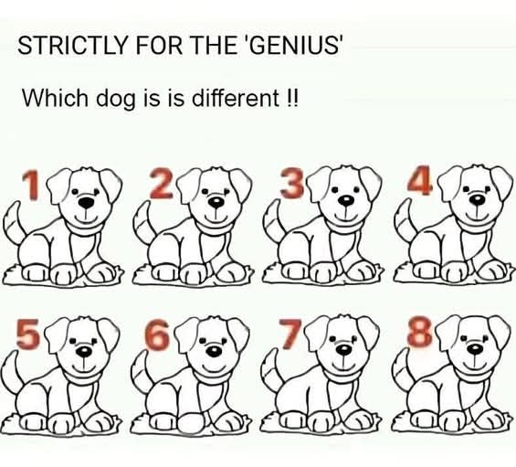 Most People Fail: Can You Spot Which Dog Is Different?