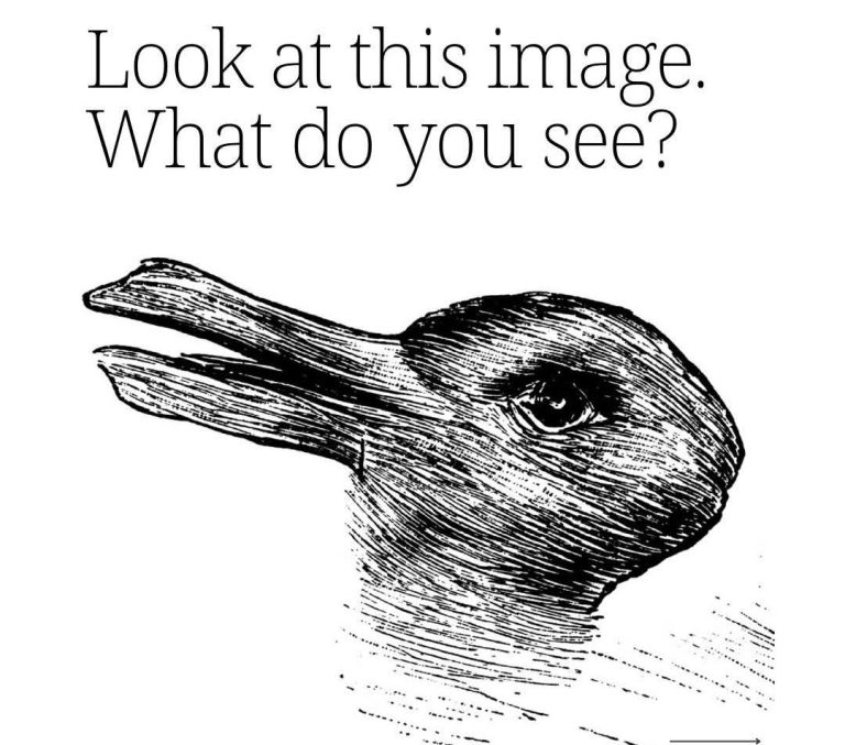 what do you see ?