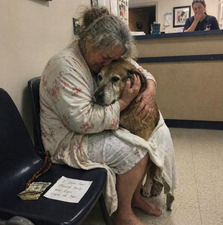 She walked three miles to the vet at 2 a.m. Barefoot. In her nightgown. She had $23 to her name. She set it on the counter and said, “This is everything I have. Please don’t let him d.i.e.”