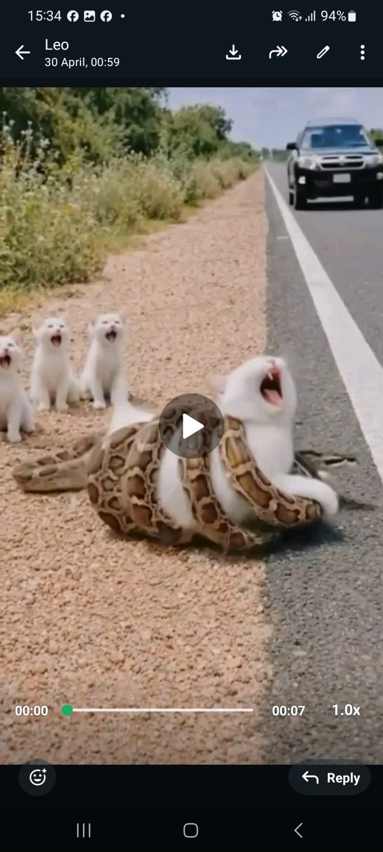 No one expected to witness a battle for life on the side of the highway…