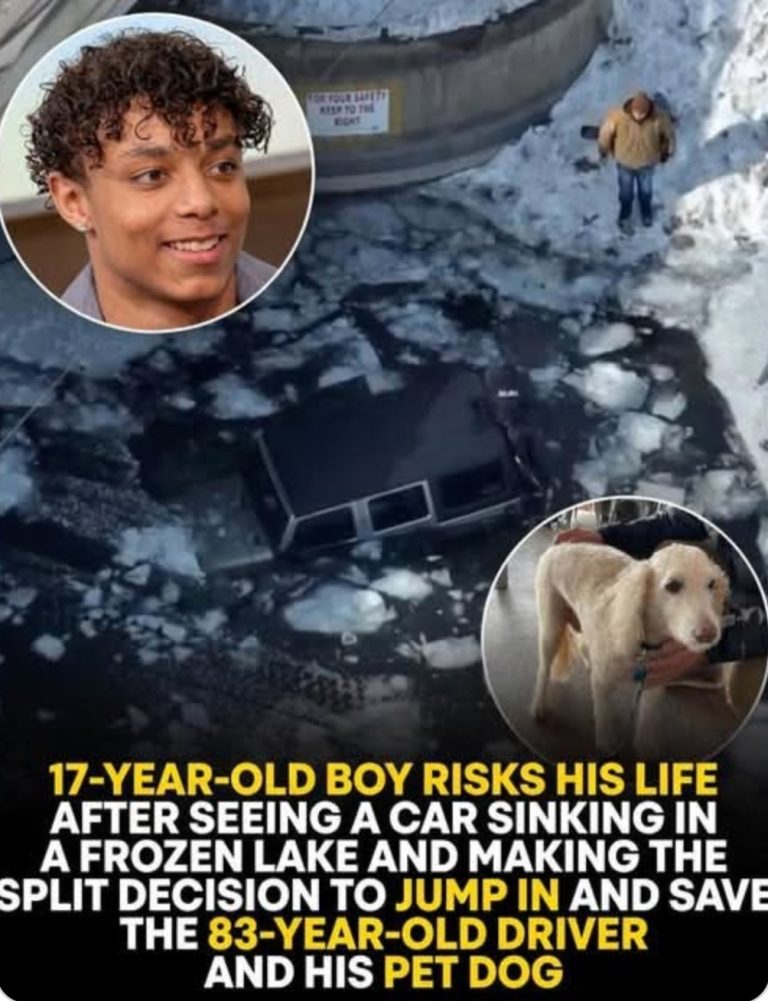 A Teen Saw Something Moving Beneath the Ice… Seconds Later, He Risked Everything to Save Two Lives 🥶🐾💔