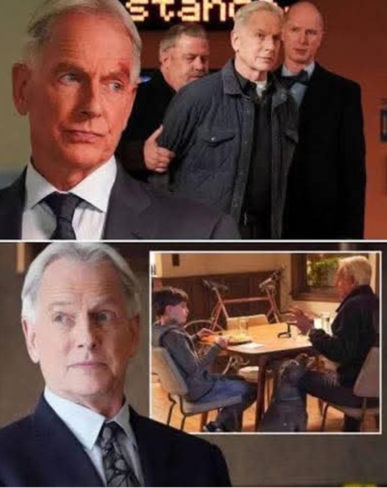 😳 NCIS Behind-the-Scenes Rumors Resurface… What Really Happened Between Mark Harmon and Pauley Perrette?