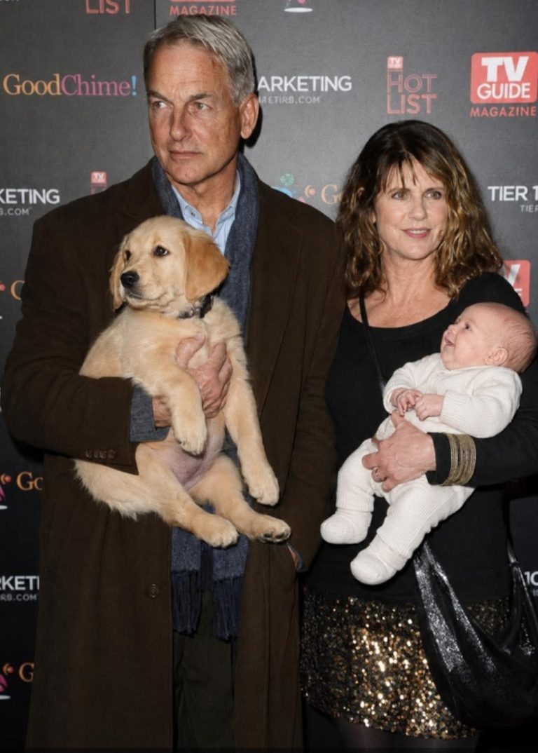 Is Mark Harmon Related to Angie Harmon? The Rumor Everyone Is Talking About 😳