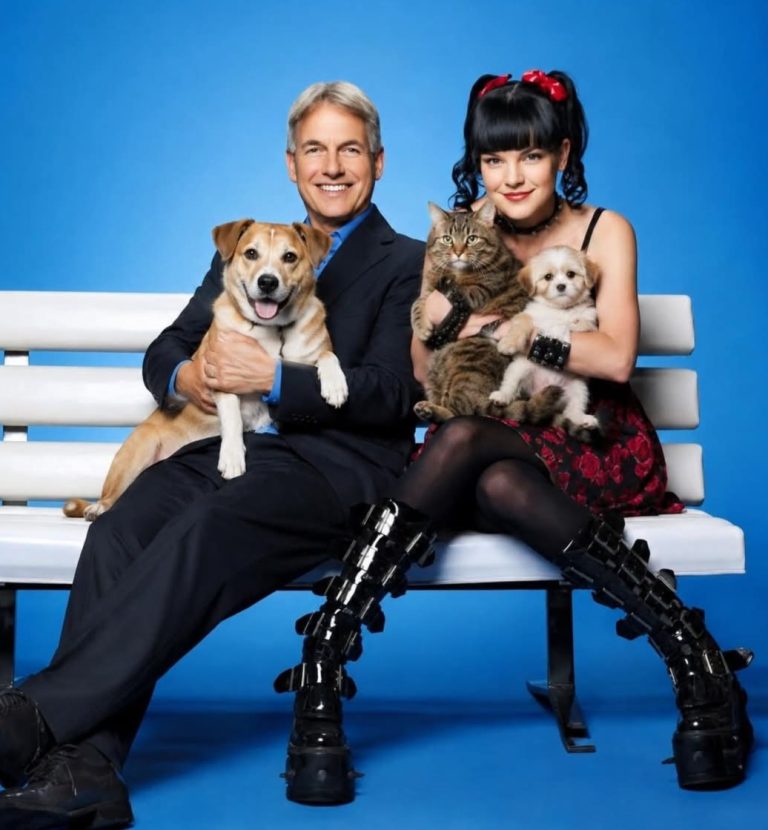 Fans React as Social Media Claims Mark Harmon Hid a Secret Health Issue — What’s the Truth?