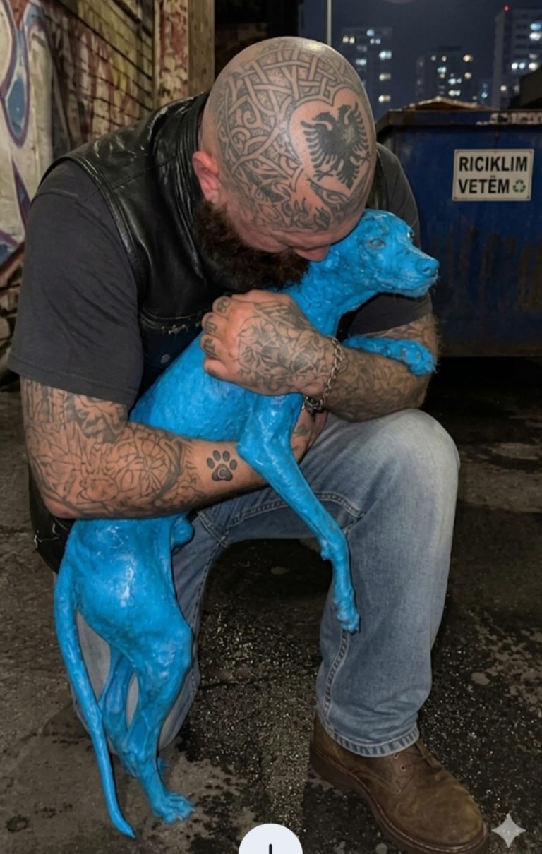 They Thought It Was a Discarded Toy Behind the Dumpster. Then It Moved…​He was a 260-pound biker covered in tattoos—a man people avoided on the streets. But on a freezing night behind a dark alley, a tiny, trembling shadow stopped him dead in his tracks. ​It looked like a broken toy, completely encased in a thick, hardened shell of industrial blue paint. It couldn’t sit, couldn’t lie down, and couldn’t even lower its head to rest. ​What this tough man did next shocked everyone at the emergency clinic, proving that angels really do hide in the most unexpected places. 🐾💔 ​Read the full, heartbreaking story of Cobalt’s rescue and his incredible transformation below! 👇✨
