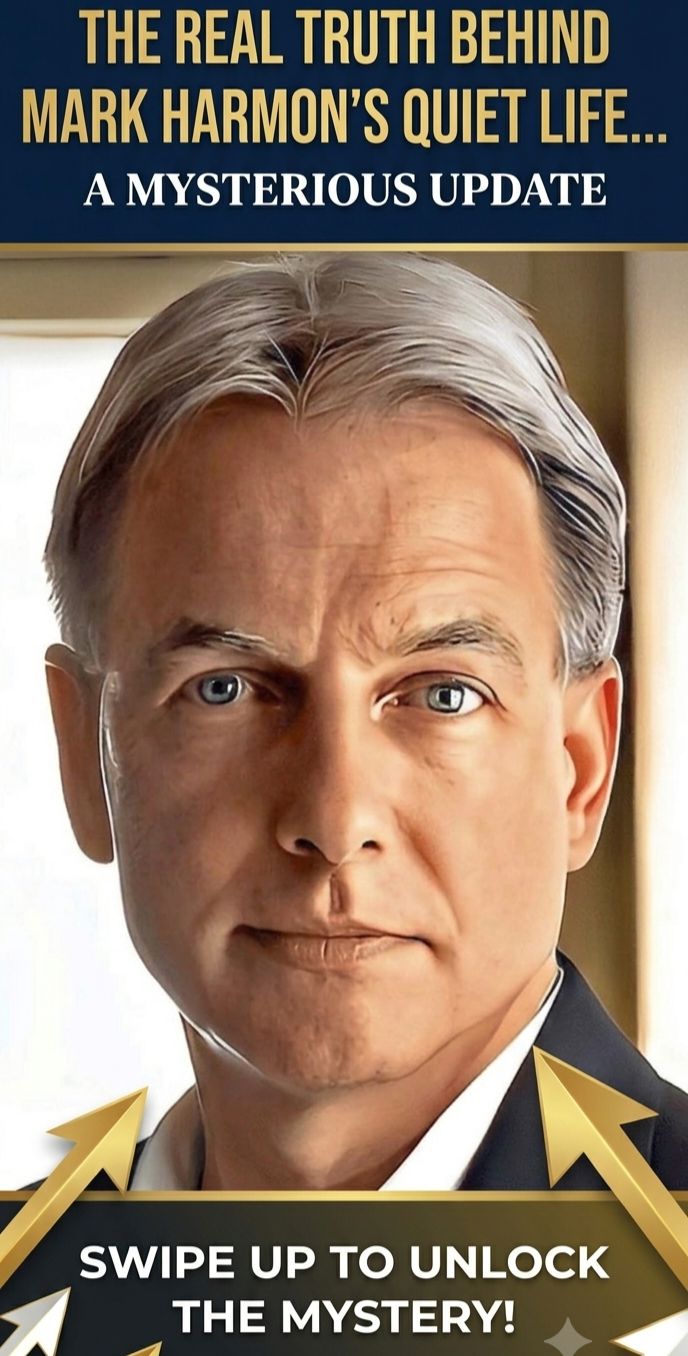 For nearly two decades, Mark Harmon was the heart and soul of television as the legendary Leroy Jethro Gibbs. But when he suddenly decided to walk away from the spotlight, millions of fans were left with endless questions. Now, the real truth behind his quiet departure and how he spends his life today has finally been brought to light… 🎬👇 ​🔴 Read the full exclusive update in the first comment below! 👇