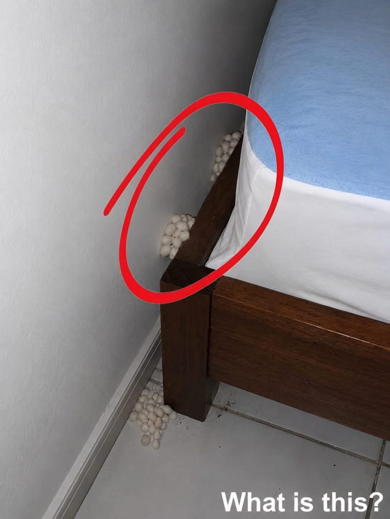 I Came Home Exhausted Expecting a Quiet Evening—But One Detail Told Me Something Was Wrong
